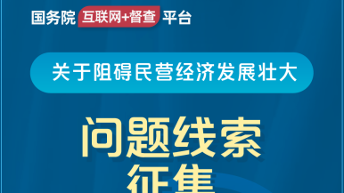 操小BB国务院“互联网+督查”平台公开征集阻碍民营经济发展壮大问题线索